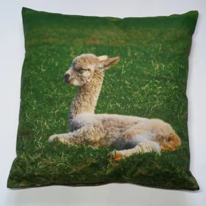 Sierkussen David met vulling Alpaca wol