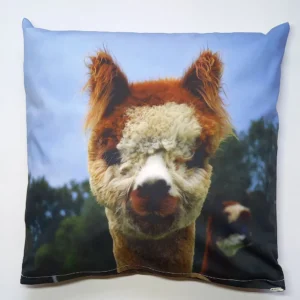 Sierkussen Ilse met vulling Alpaca Wol 40 x 40 cm