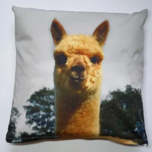 Sierkussen Jody met vulling Alpaca Wol 40 X 40 cm