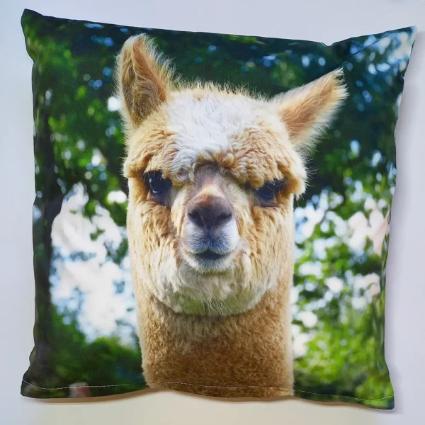 Sierkussen Kees met vulling Alpaca Wol