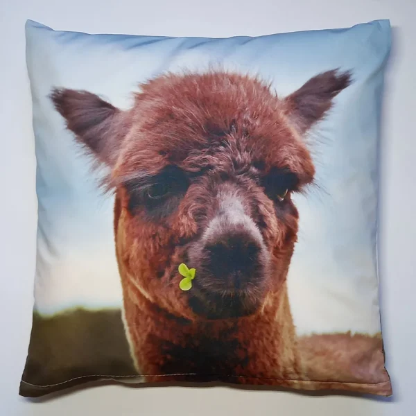 Sierkussen Sam met vulling Alpaca wol 40 x 40 cm