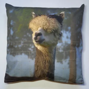 Sierkussen Seven met vulling Alpaca wol 40 x 40 cm