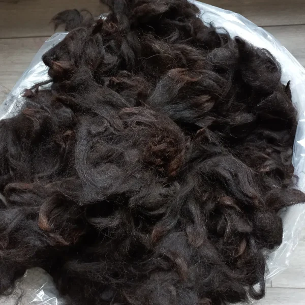 Alpaca Vacht AV 08 Zwart