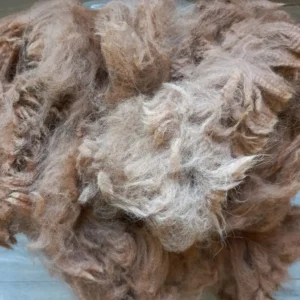 AV 04 Medium Fawn Alpaca Vacht