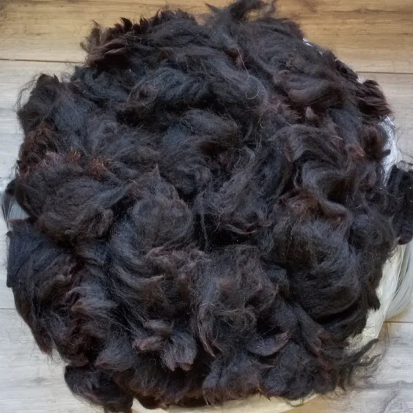 AV 18 Bay Black alpaca vacht