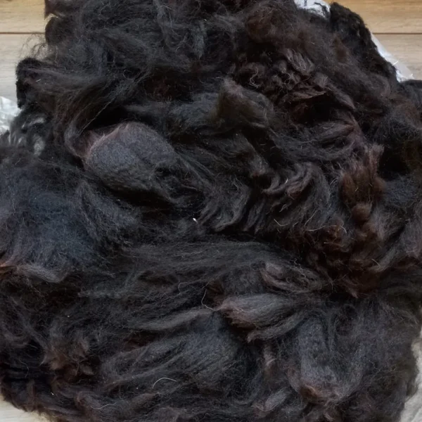 AV 18 Bay Black alpaca vacht