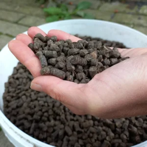 wolkorrels mestkorrels duurzaam biologisch voeding bodem schapenwol alpacawol