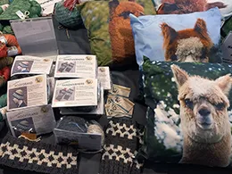 Alpaca Kussens Markt Alles Wol Hollands Garen