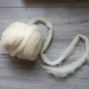 Schaap Texelaar Lontwol SL02