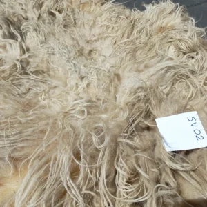 Schaap Drents Heideschaap Wit vacht SV02
