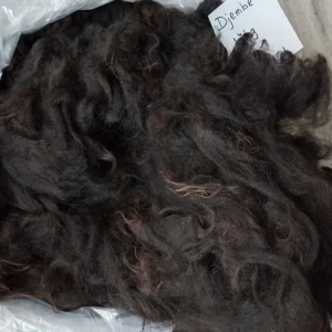 Alpaca Vacht AV01 Djembé