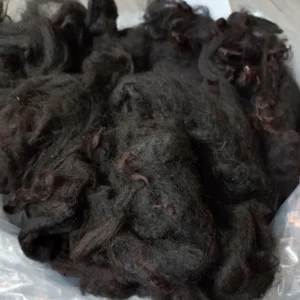 Alpaca Vacht AV02 Yvon