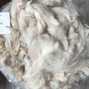 Alpaca Vacht AV05 wit beige