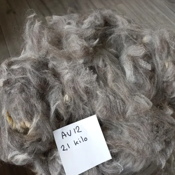 Alpaca Vacht AV12 grijs