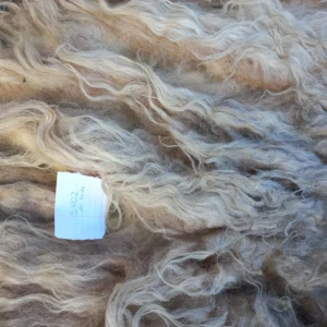 Schaap vacht Drents Heideschaap SV02 vachtvilten