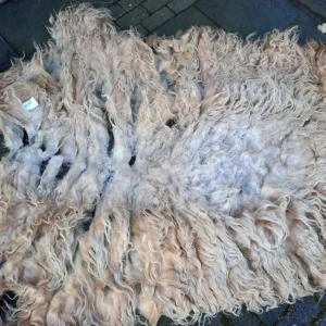 Schaap vacht Drents Heideschaap SV07 vachtvilten